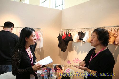 内衣展销会_内衣展销会模特(3)