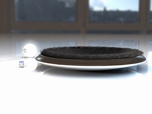 ͹ĳʵ