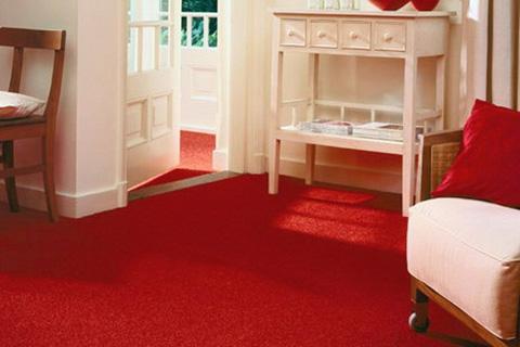 尼龙地毯卷土重来成主流