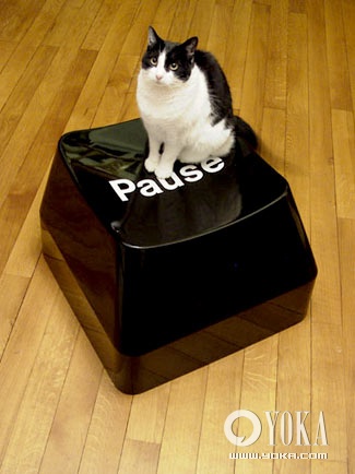 Ҿƿļ