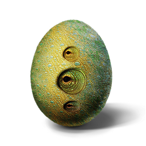 ᣺Ʒ ҰҼ Ҿ Ҿ ùҰ 