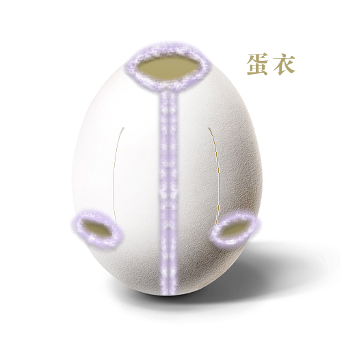᣺Ʒ ҰҼ Ҿ Ҿ ùҰ 