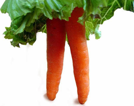 ͼƬɷҳ