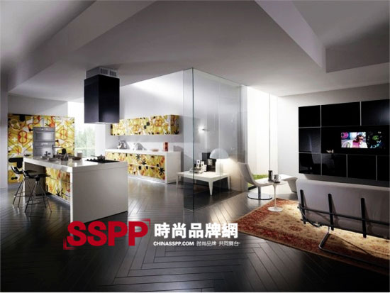 scavolini2010Ƥ