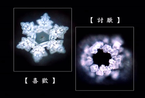 վˮ֪𰸡