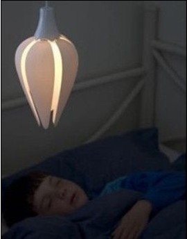 Դ⻨ư