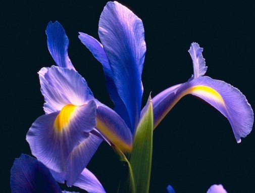 2011 ֤ĿƼ