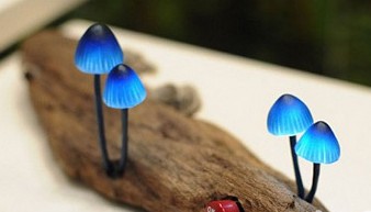 LED׮ϵСĢ