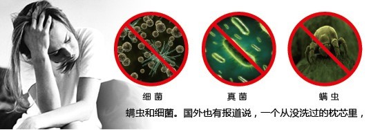 紫罗兰生机家纺—献礼世界过敏性疾病日