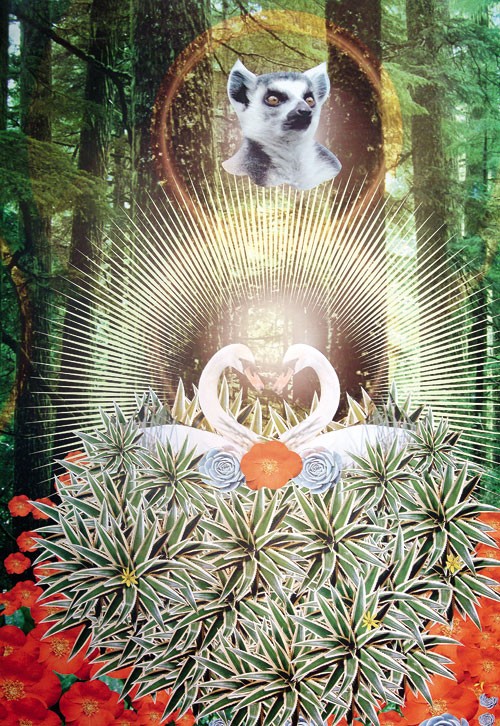 зװͯҴ