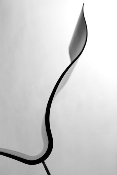 ErgonNomos:ȶ˵̼ά