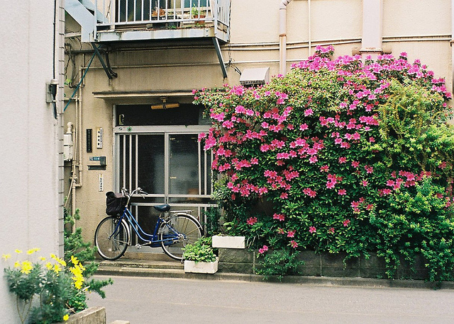 ԭվ糡ƵʽҾ