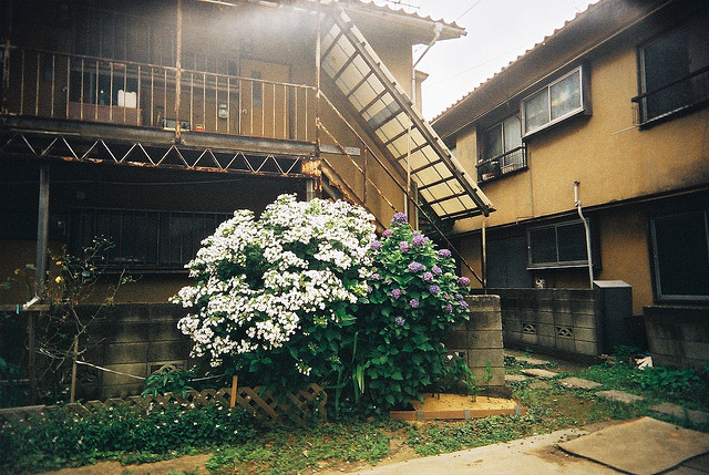 ԭվ糡ƵʽҾ