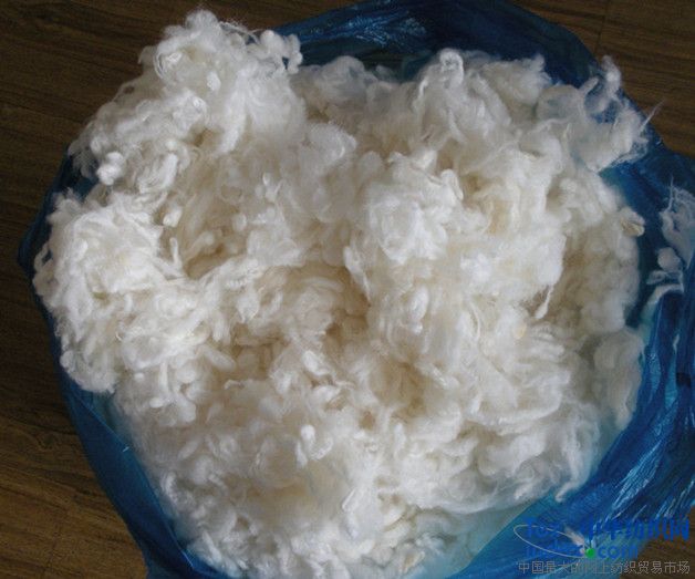 长期供应精梳绵羊毛