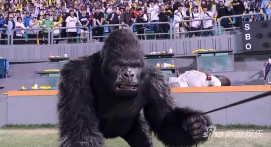 《大明猩》票房6400万 曝双猩对决特辑