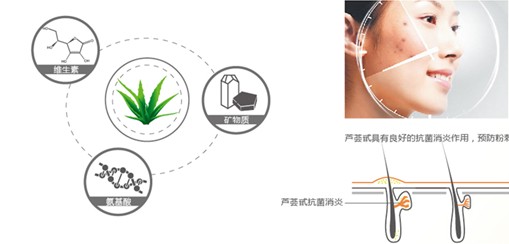 蓝品科技：以天然滋养生命！