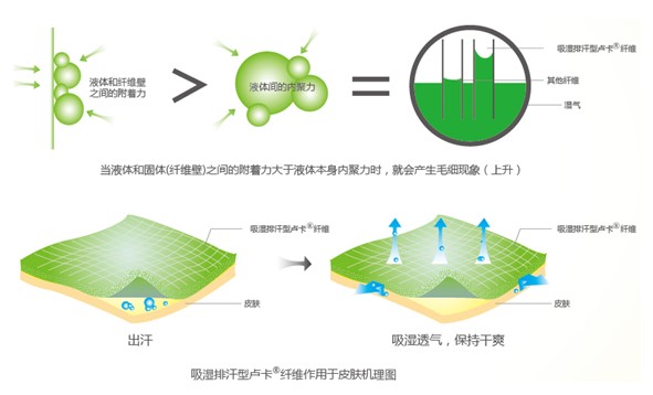 蓝品吸湿卢卡纤维：干爽睡眠不是梦！