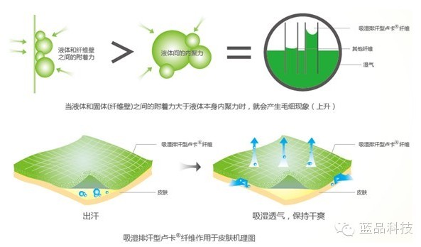 蓝品科技:告别夏季潮湿睡眠,实现干爽美梦