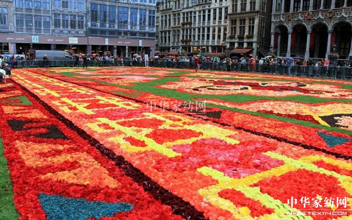 布鲁塞尔铺“鲜花地毯”庆土耳其人向比利时移民