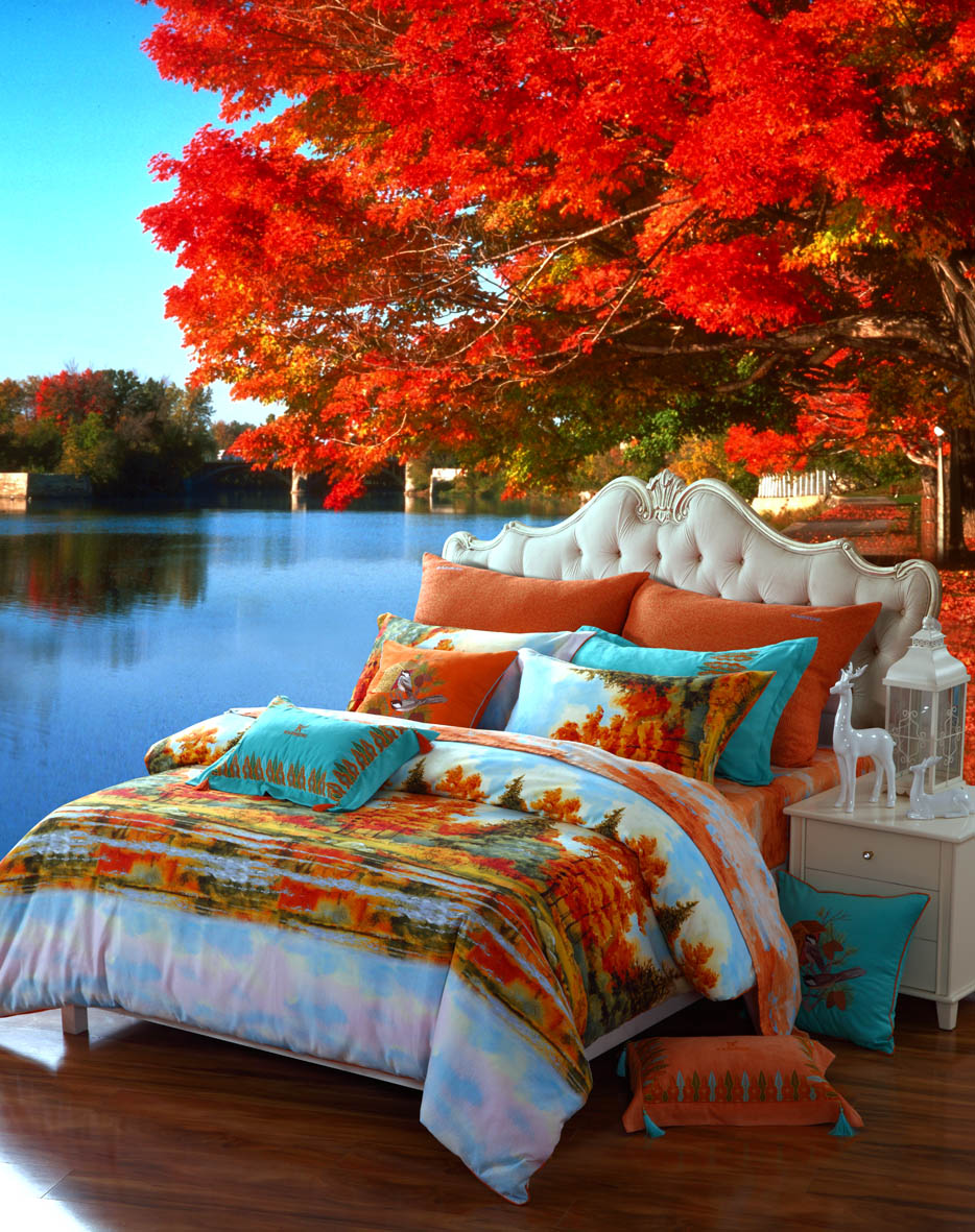 ʢҷ2014ﶬƷУһӾ֮ã