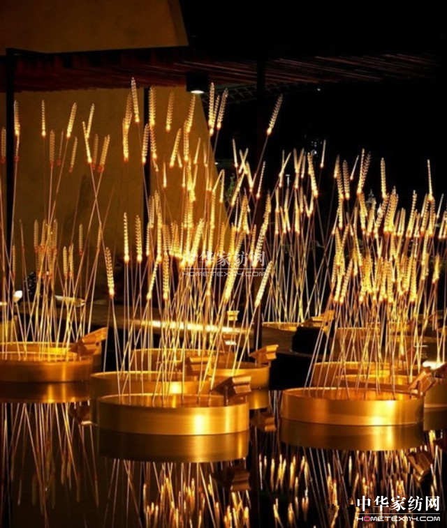 LED灯泡造“金黄色稻田”彰显泰国国王对“农业”的重视