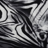 �������İ���ӡ������